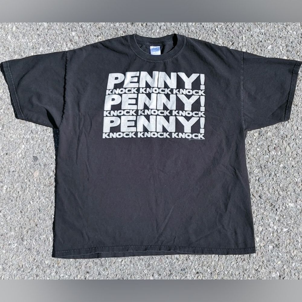 Vtg 2010 The Big Bang Theory TV Show M&O Knits T-Shirt Size (XL)